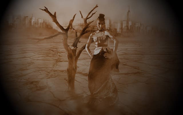 Laetitia Adam-Rabel, Desert Queen, 2017