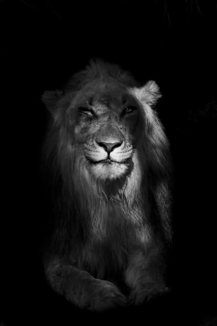 Harry Skeggs, Scar (Mono), 2018