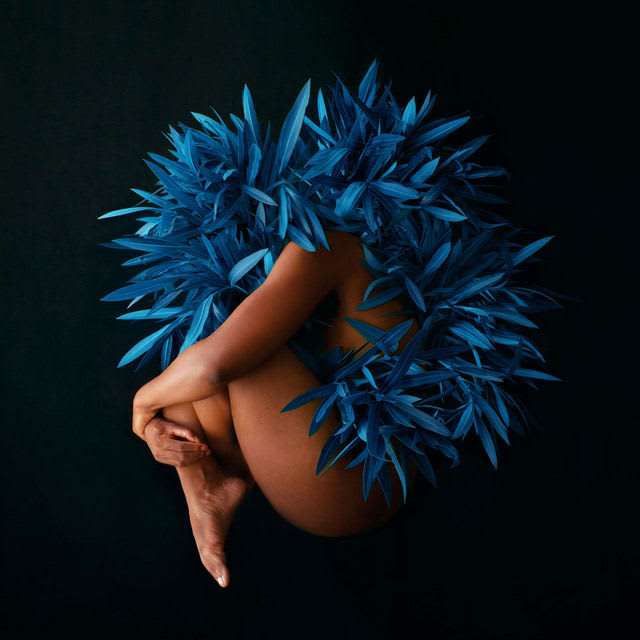 Fares Micue, Room to Grow, 2019