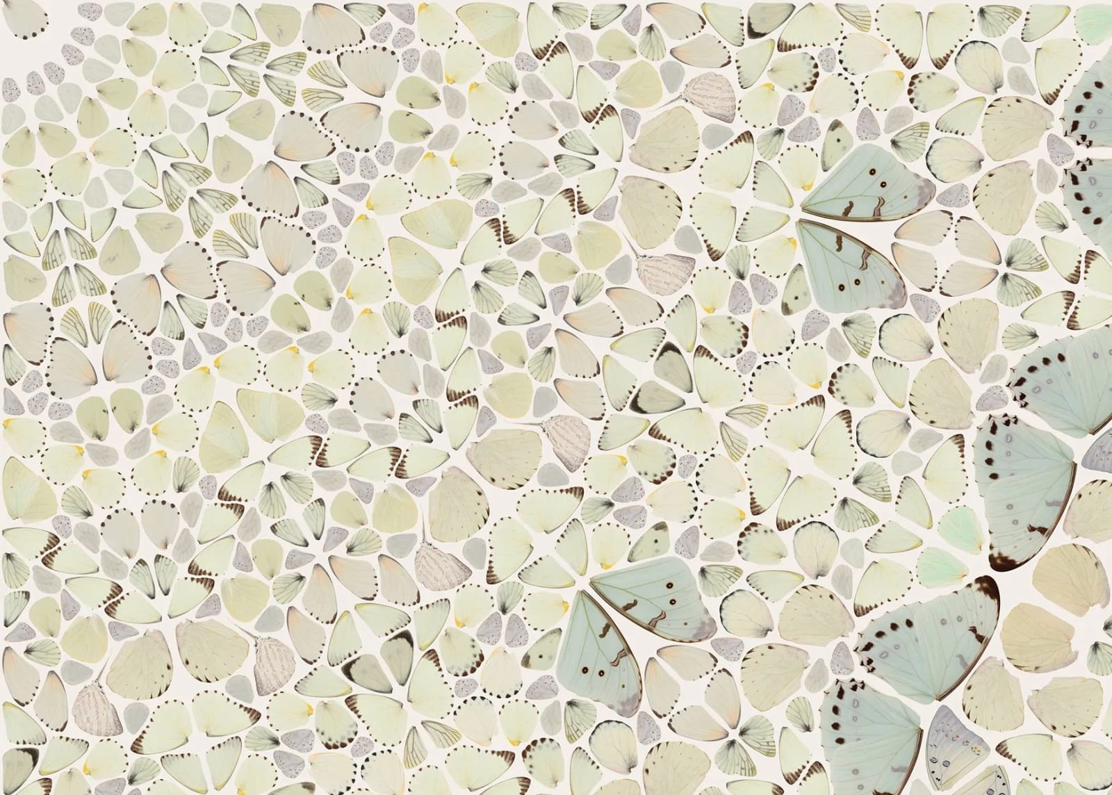 Damien Hirst, The Kaleidoscopes - Intricacy