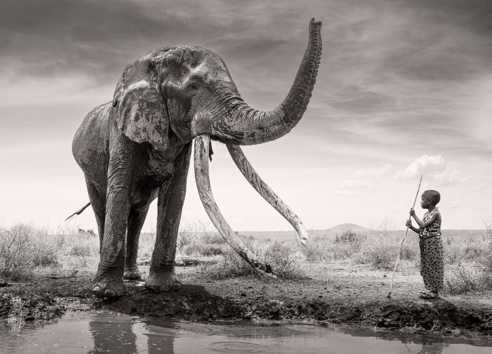 James Lewin, The Boy And The Gentle Giant
