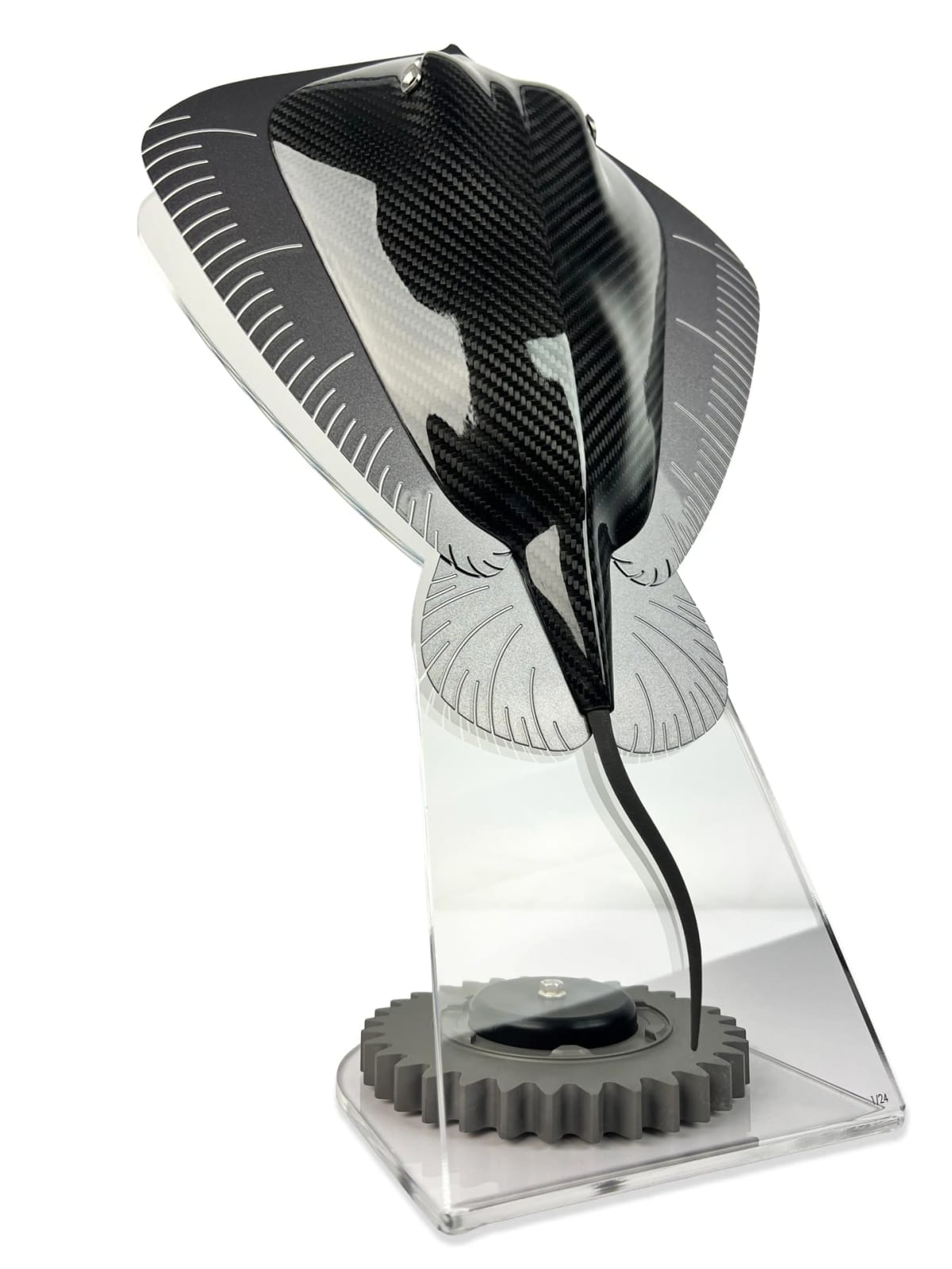 Alastair Gibson, Carbon Stingray