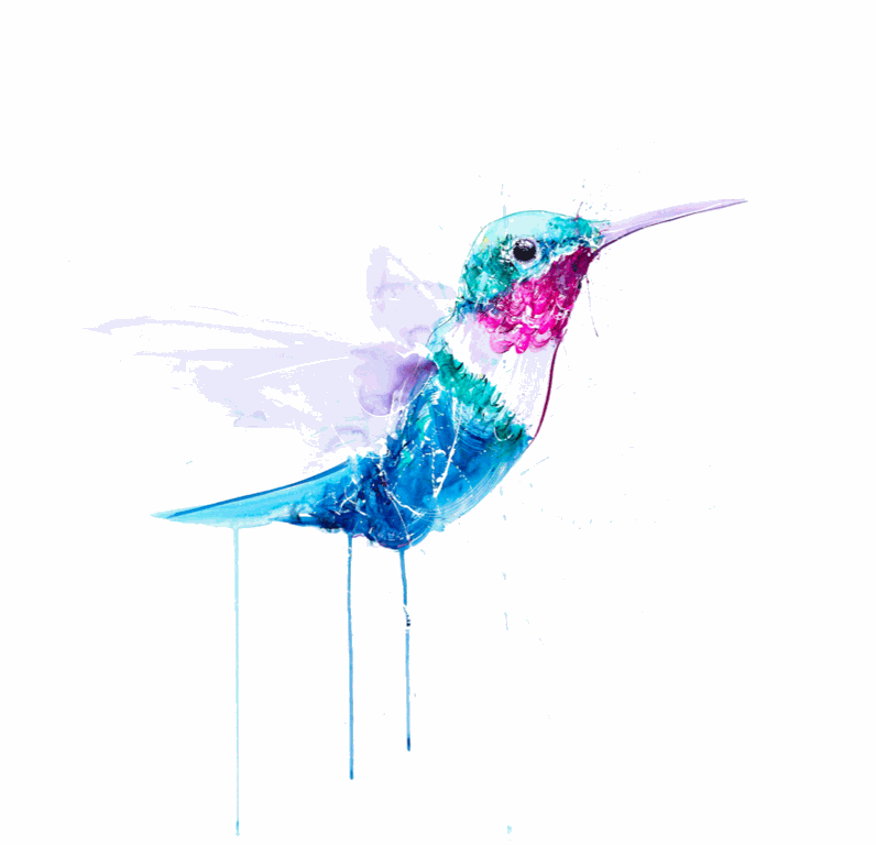 Dave White, Hummingbird VII
