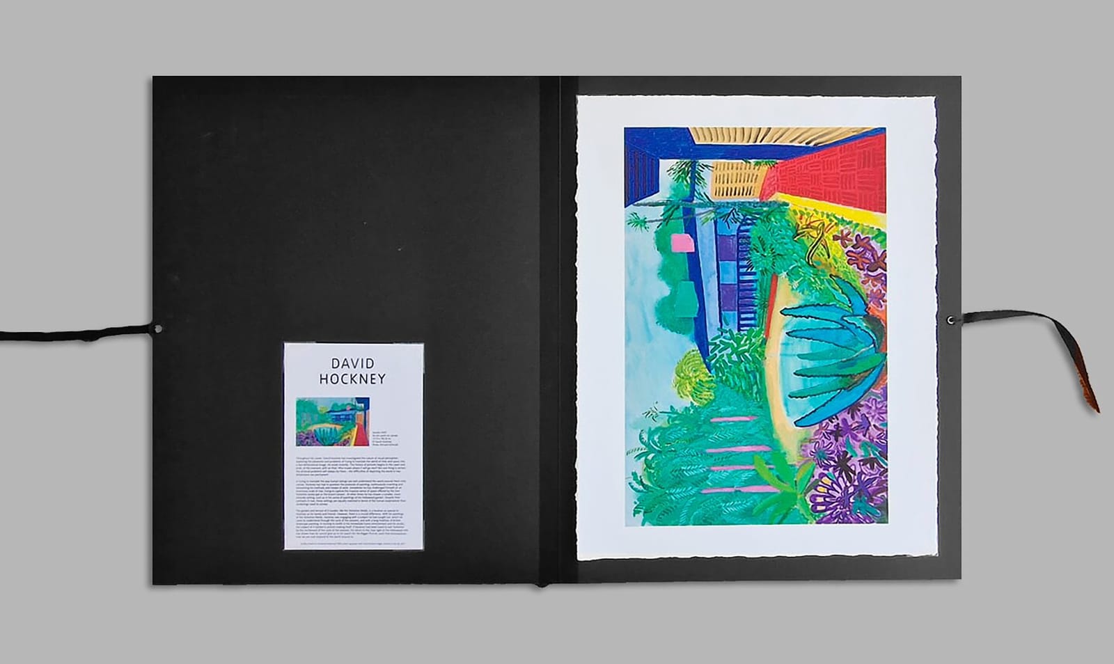 David Hockney, Garden (Tate Folio)