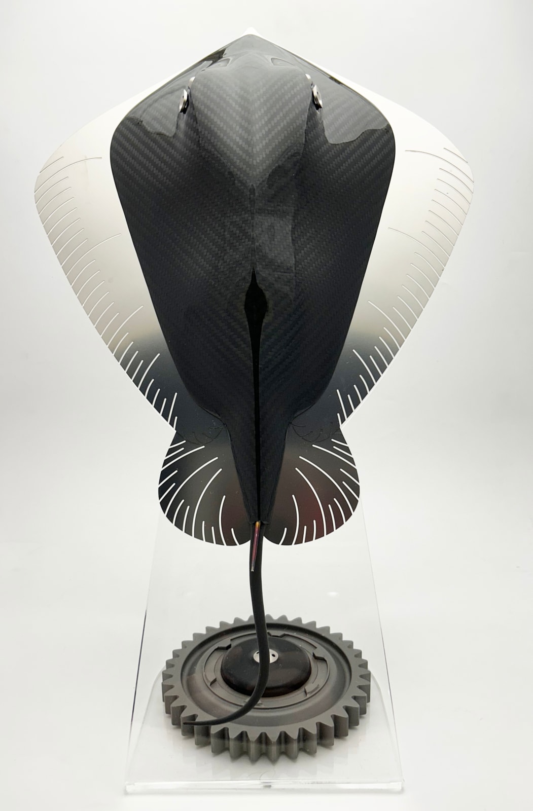 Alastair Gibson, Carbon Stingray