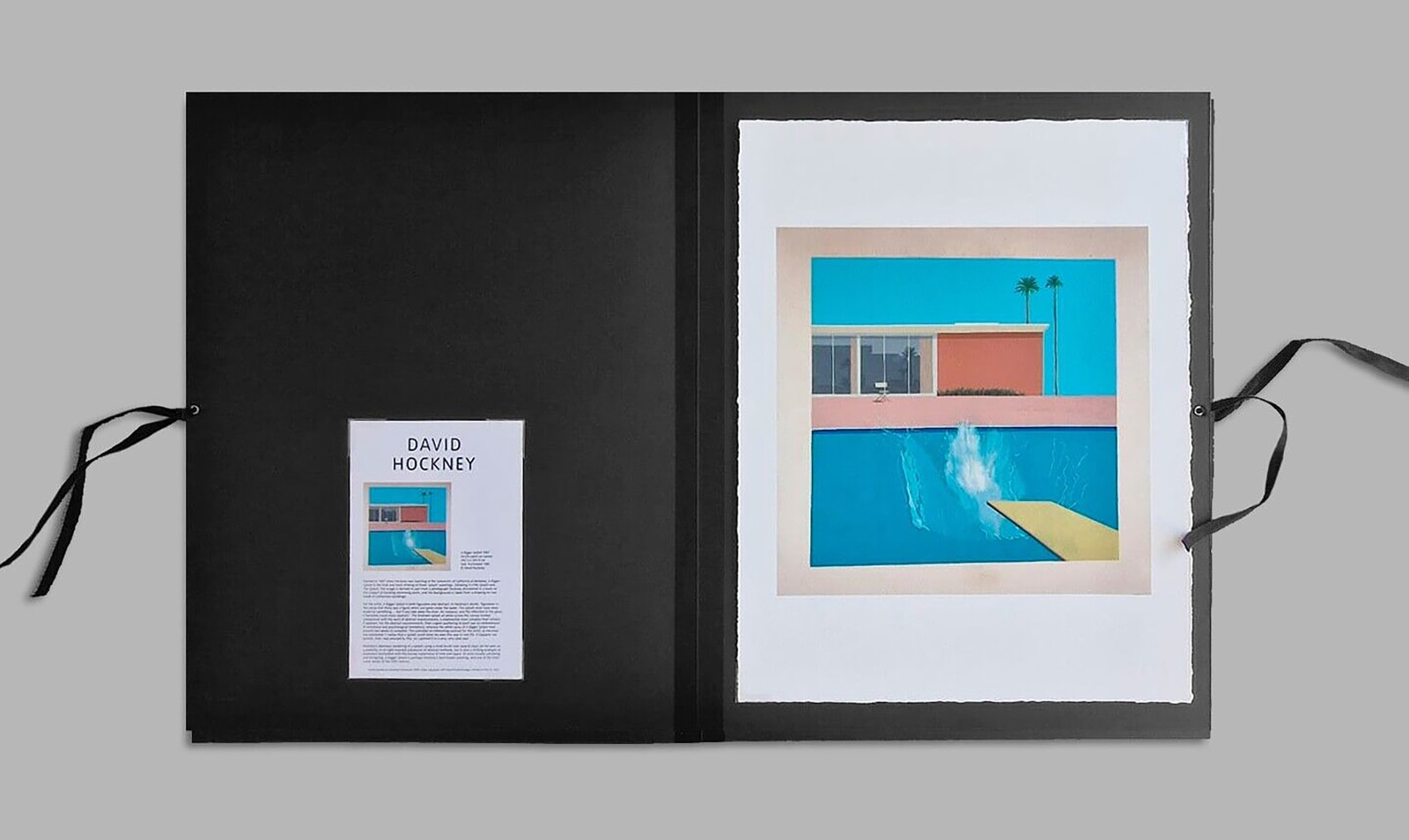 David Hockney, A Bigger Splash (Tate Folio)