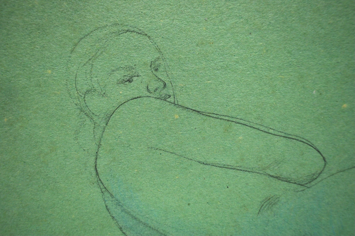 Nicholas C. Williams, Reclining Female Nude