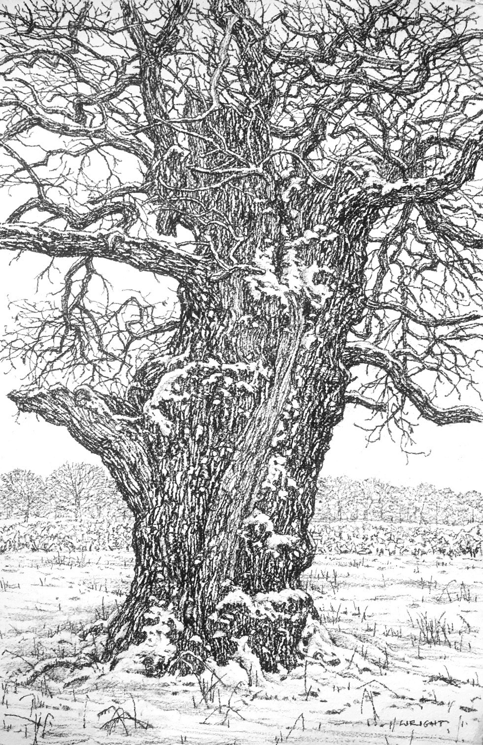 Roy Wright, The First Fall Of Snow