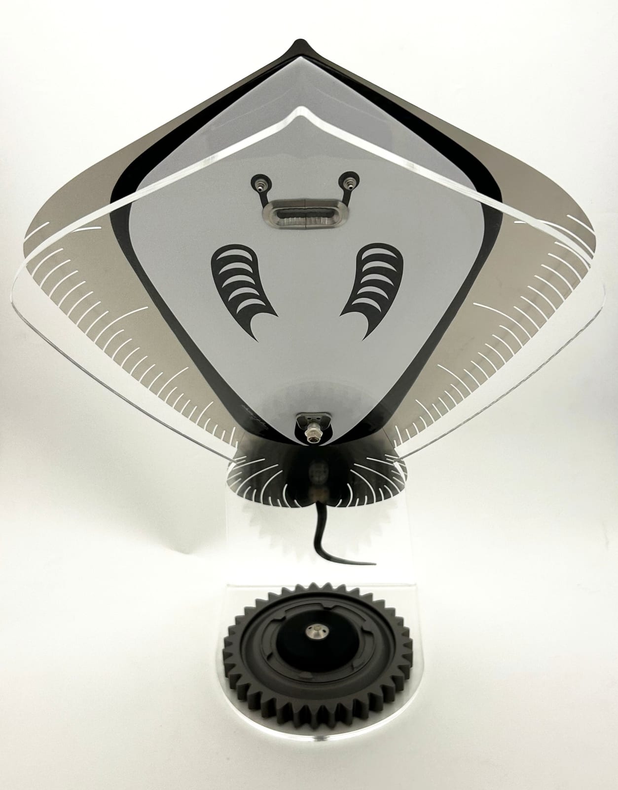 Alastair Gibson, Carbon Stingray