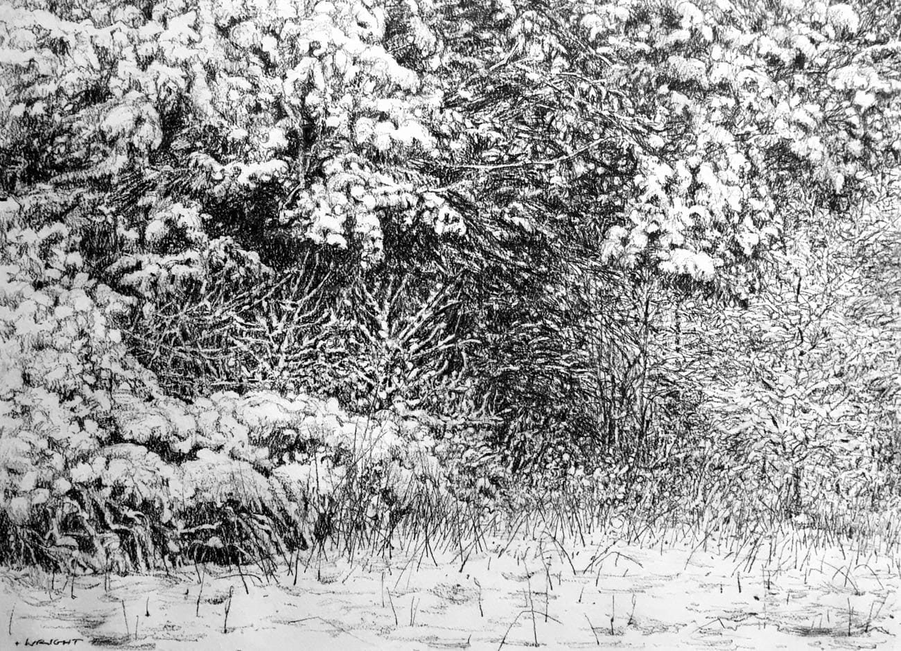 Roy Wright, Winter In The Park