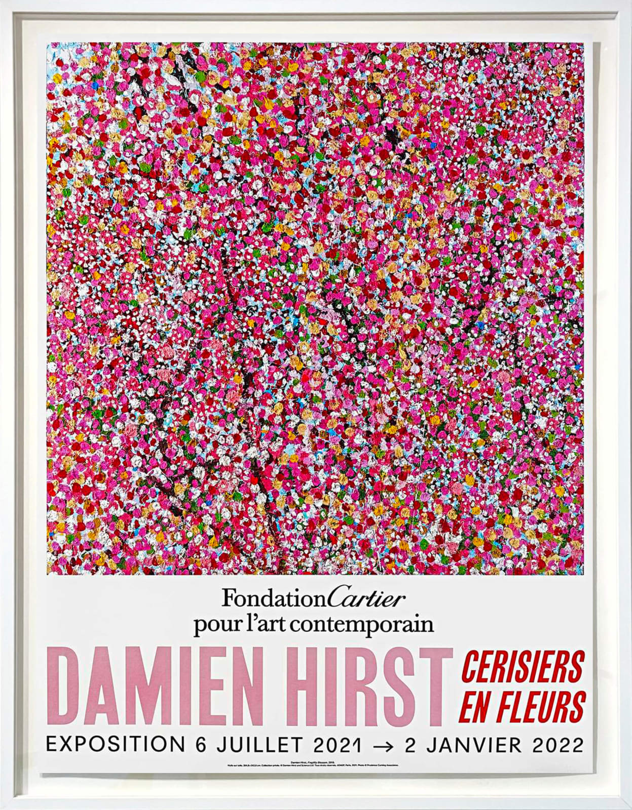 Damien Hirst, Cerisiers En Fleurs