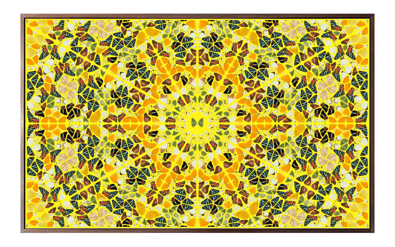 Damien Hirst, The Kaleidoscopes - Set of 5