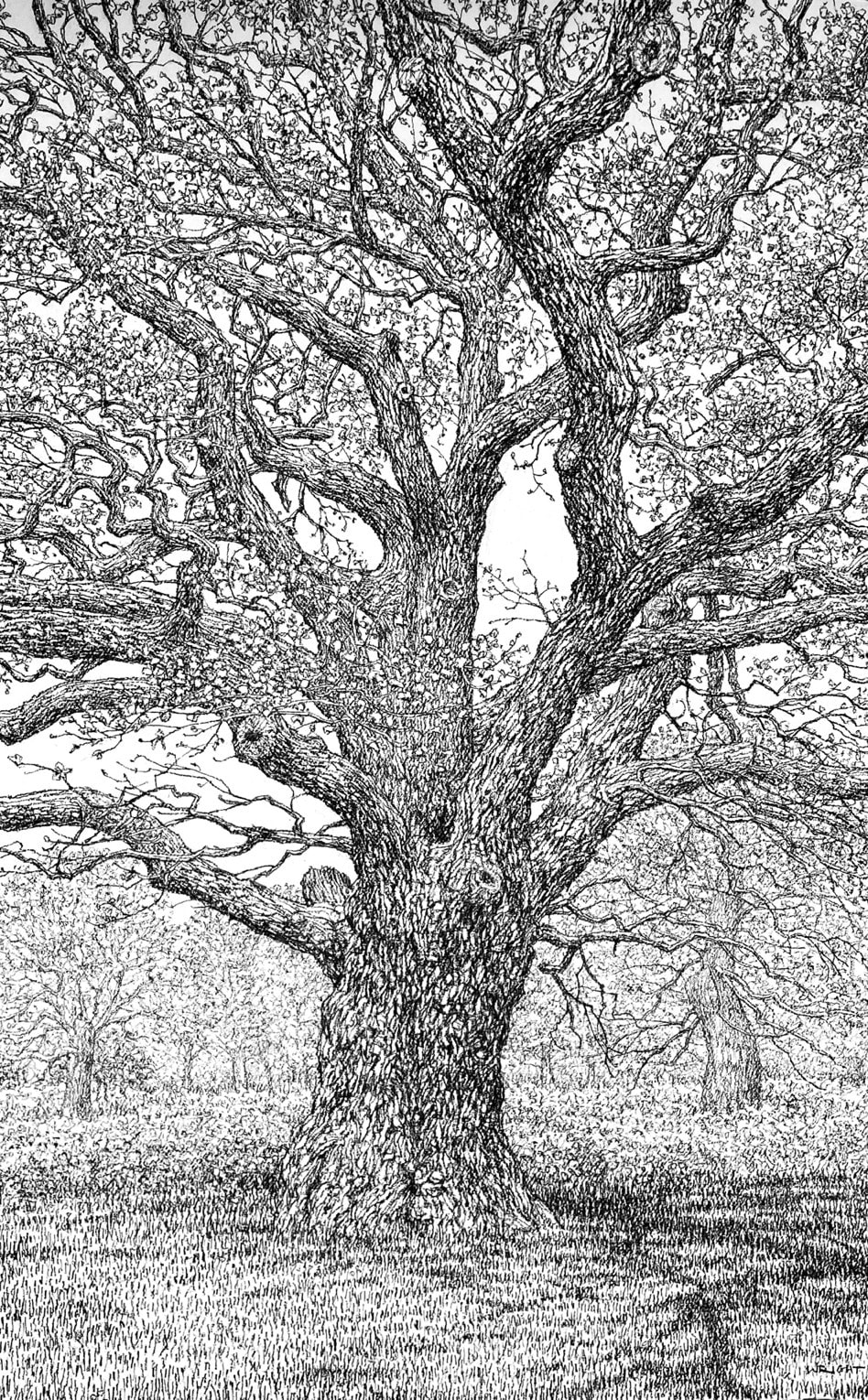 Roy Wright, Spring Has Just Arrived