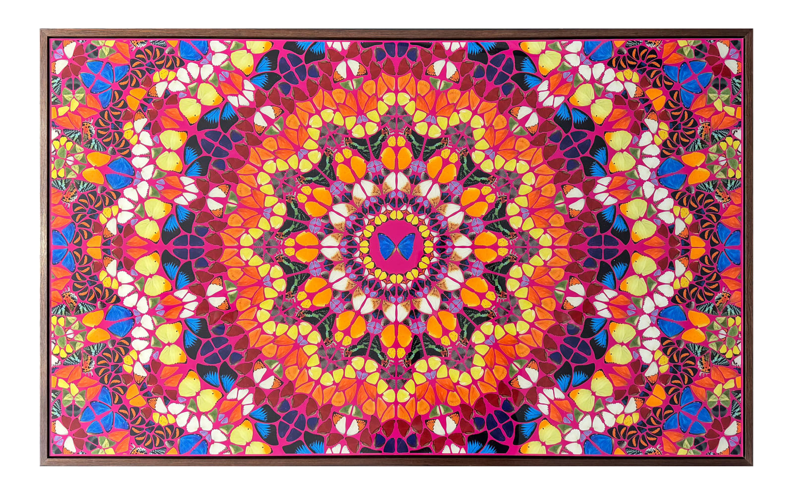 Damien Hirst, The Kaleidoscopes - Set of 5