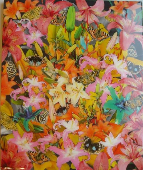 Peter Dayton, Untitled (Lilies and Butterflies), 2004