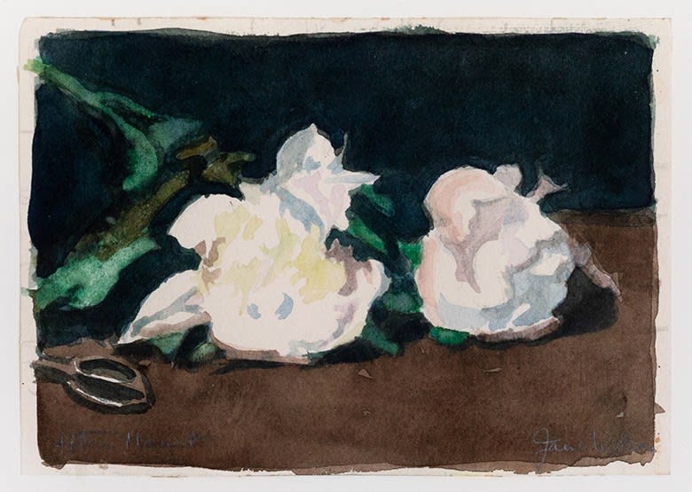Jane Wilson, Peonies: After Manet, c. 1980