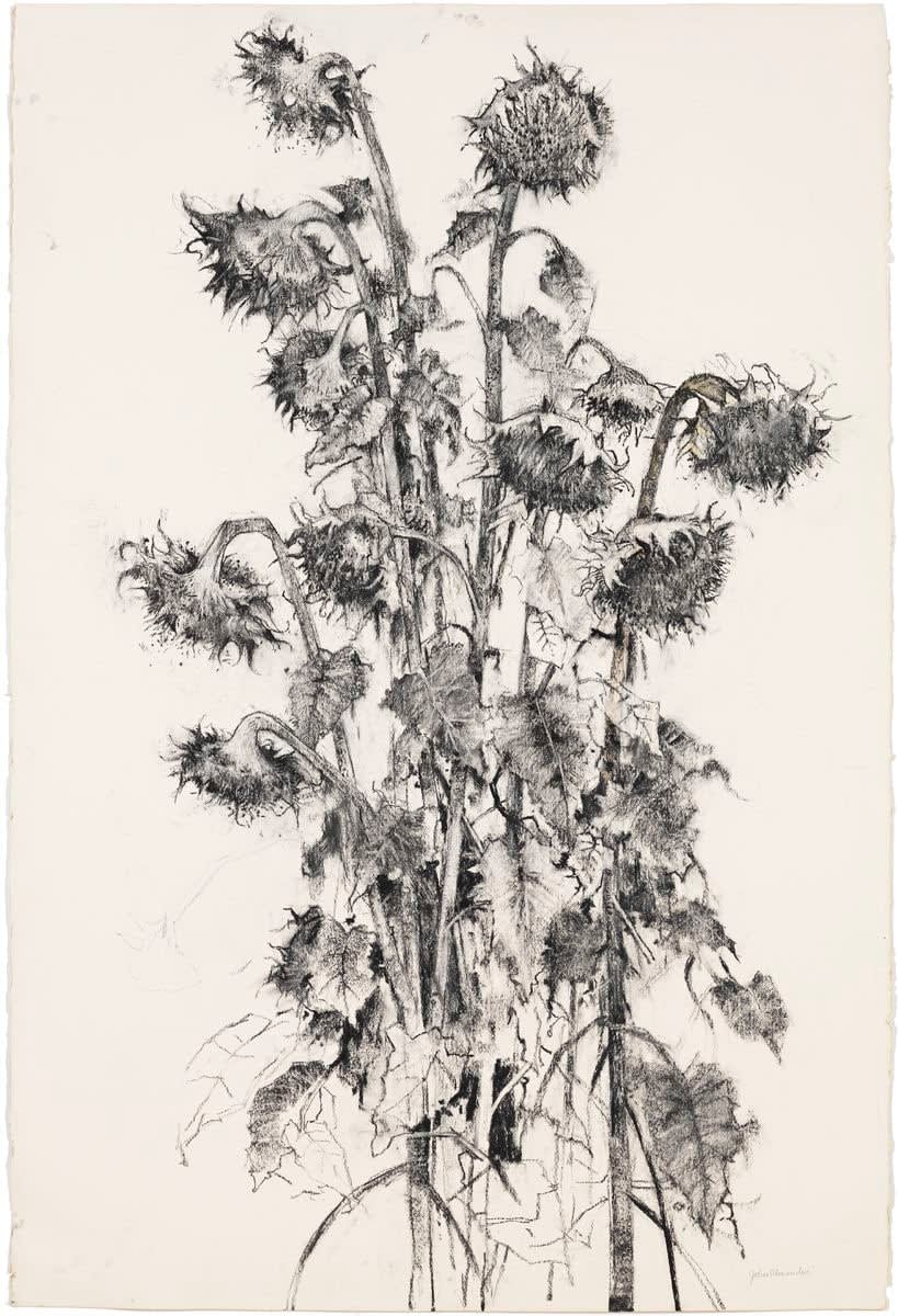 John Alexander, Sunflowers, 2012