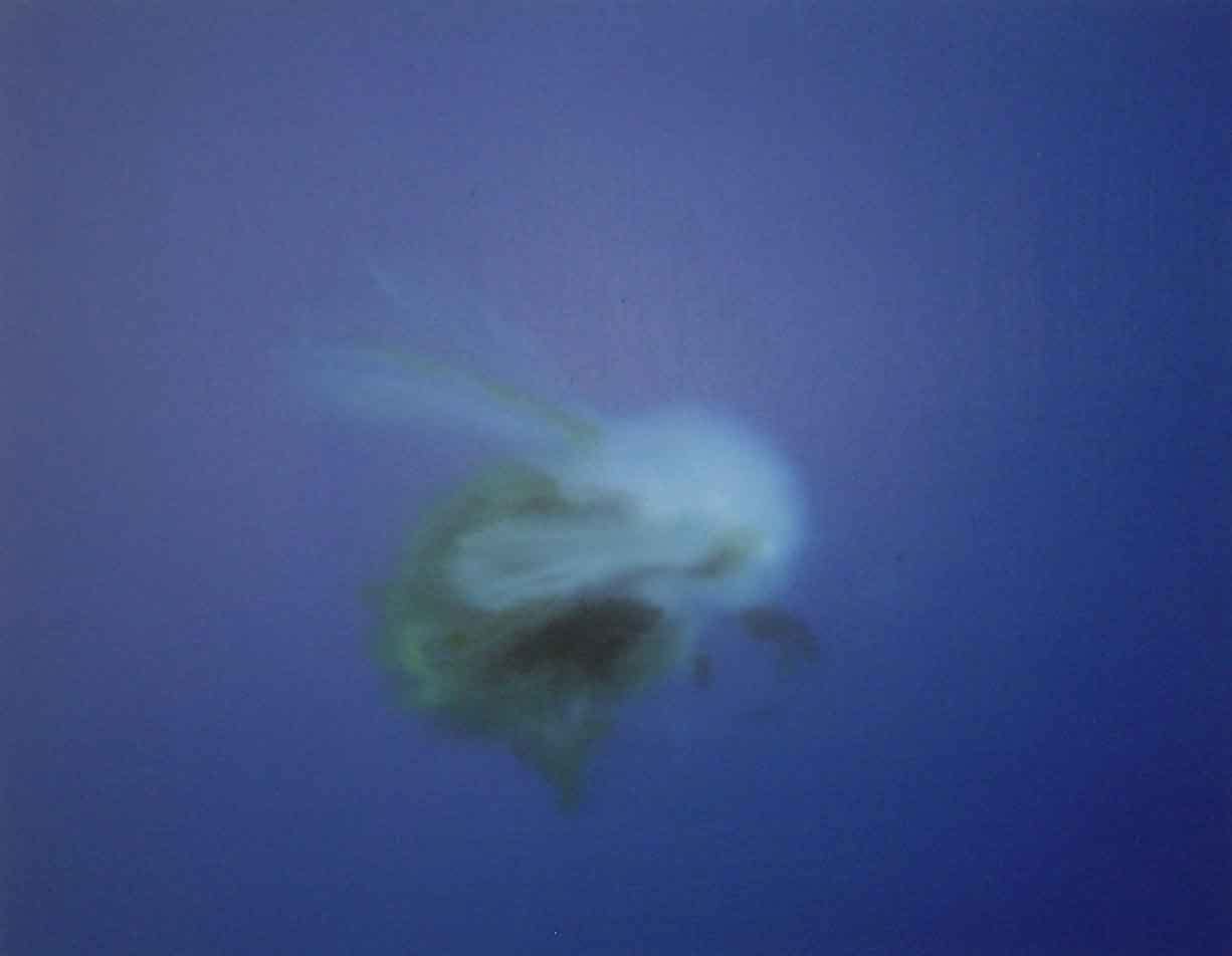 Jill Musnicki, Fluffy Bee, 2006