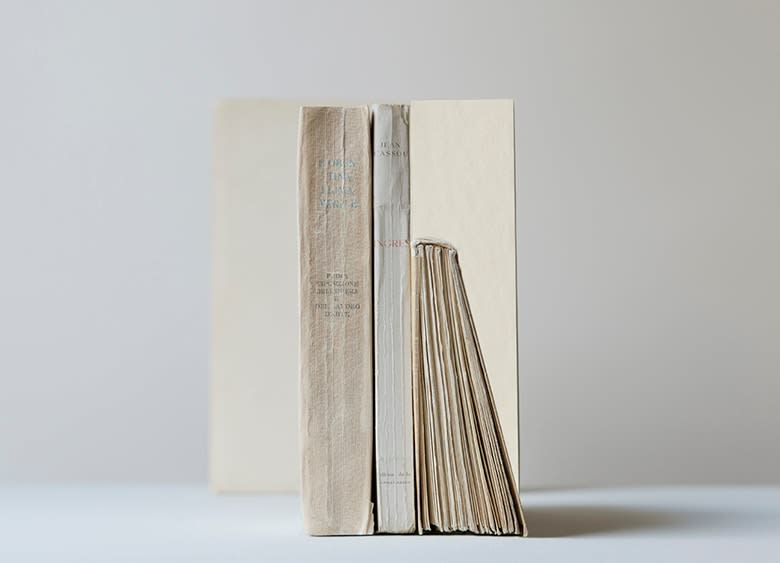 Mary Ellen Bartley, Ingres Collages (Morandi's Books), 2022