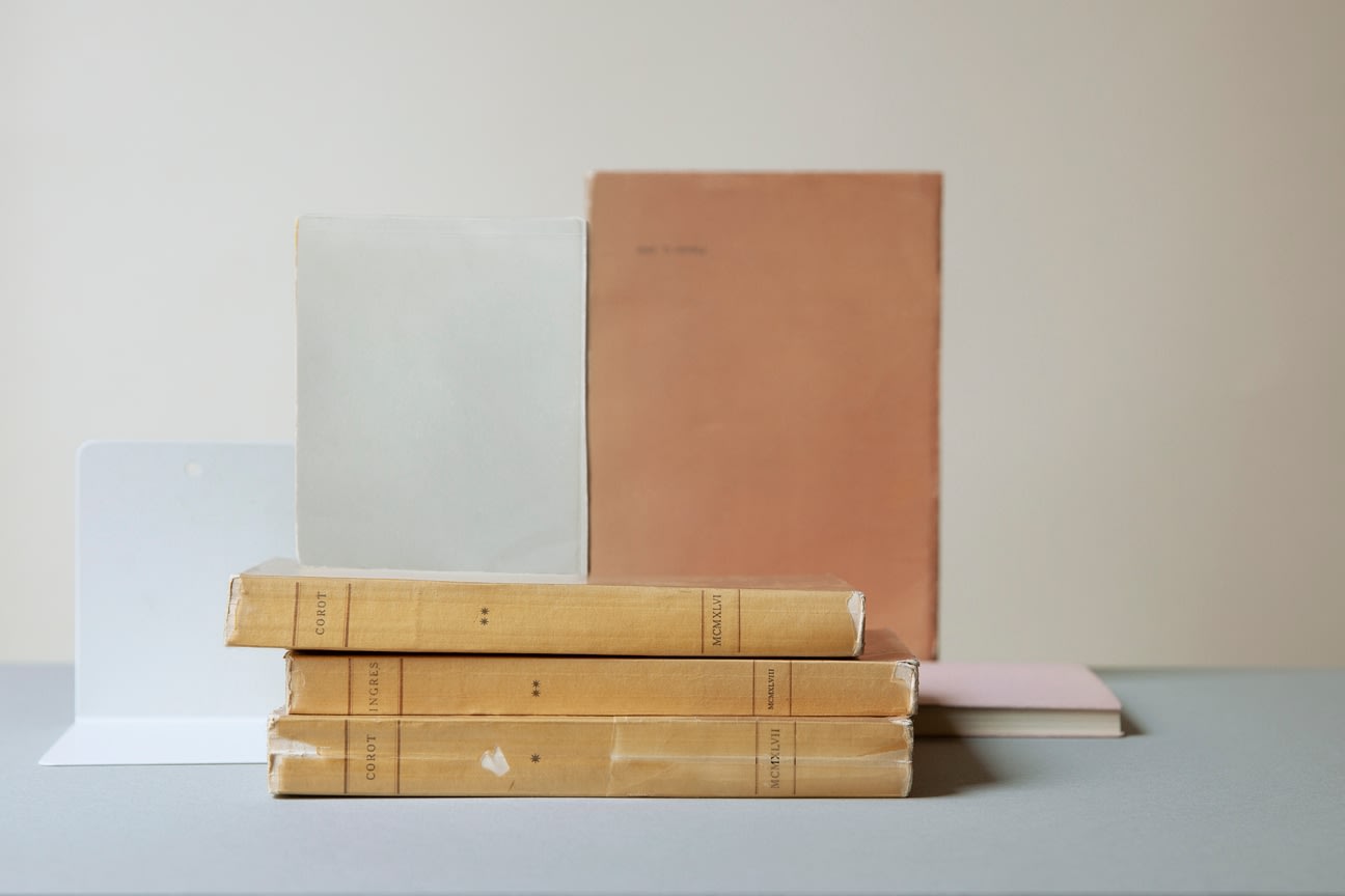 Mary Ellen Bartley, Corot and Ingres F (Morandi's Books), 2022