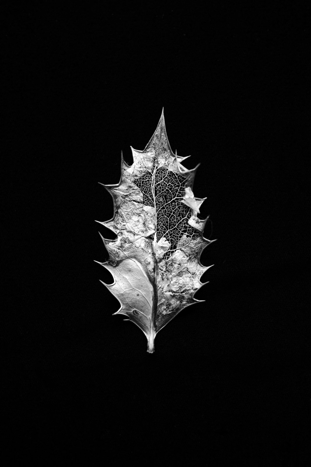 Norman McBeath RSA, Perdendosi IX, 2021