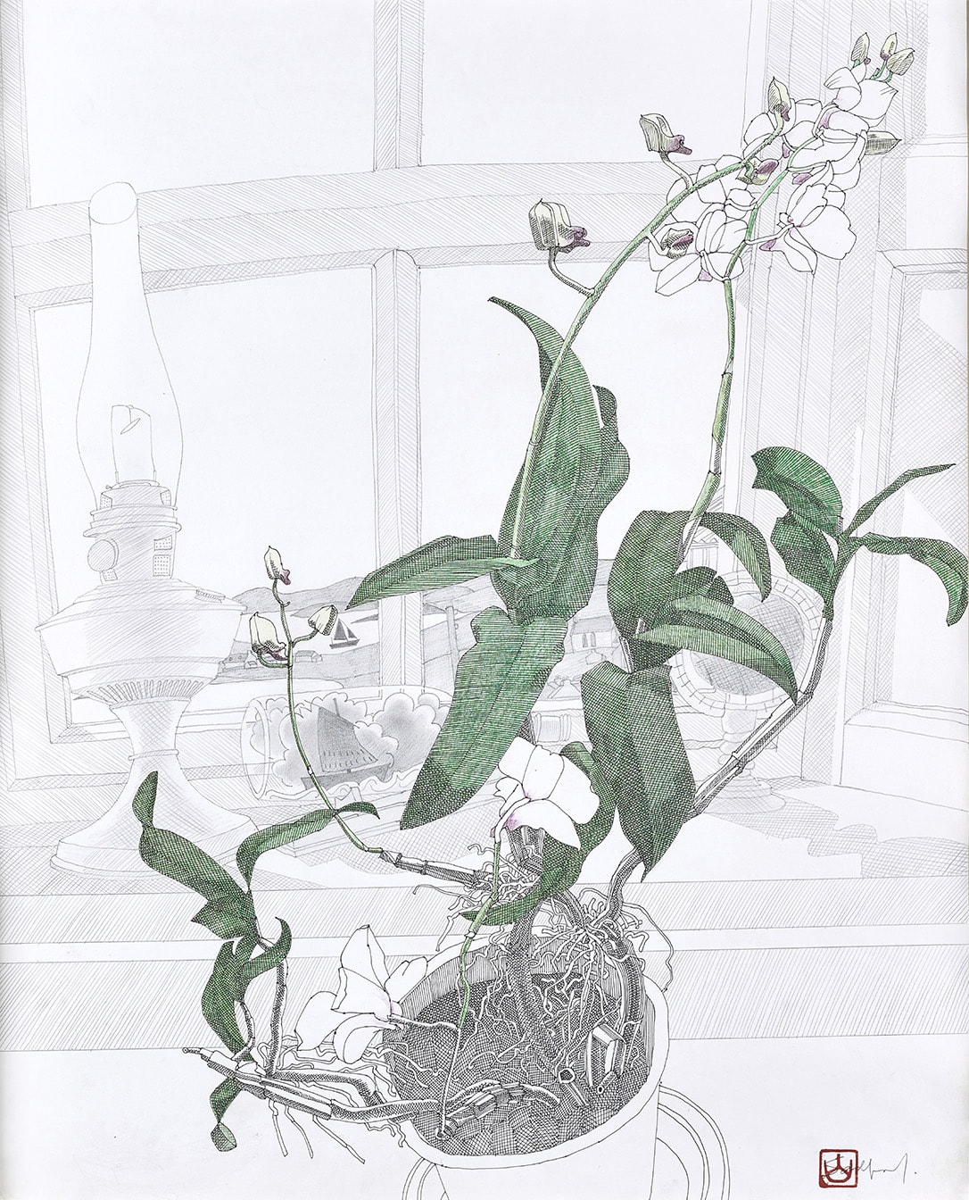 Ron Sandford, Orchids