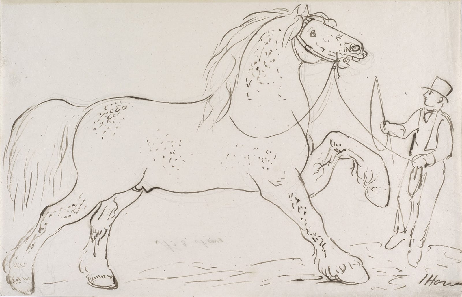 James Howe, Man training a horse
