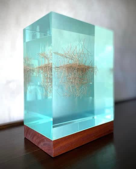 David Eustace, Still, 2022