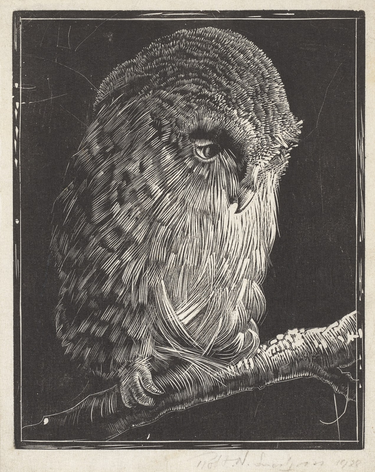 Robert Nesbet Snodgrass, Owl, 1928