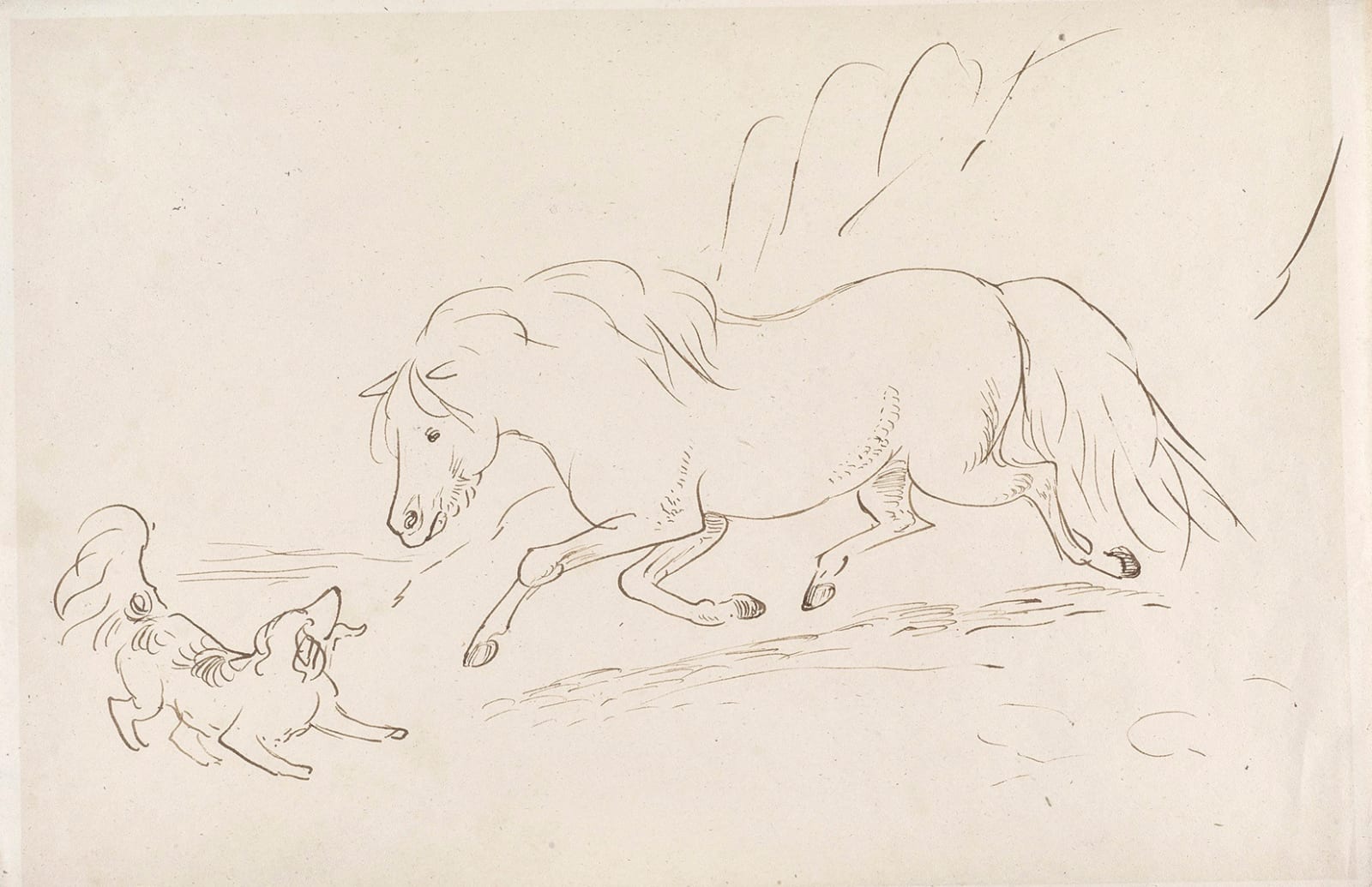 James Howe, Horse and dog