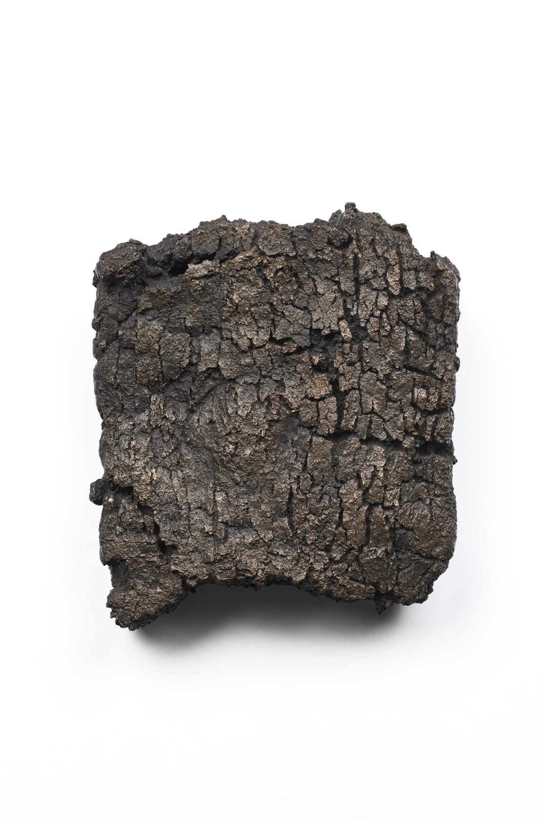 Shaun Fraser, Soil Immemorial, 2017