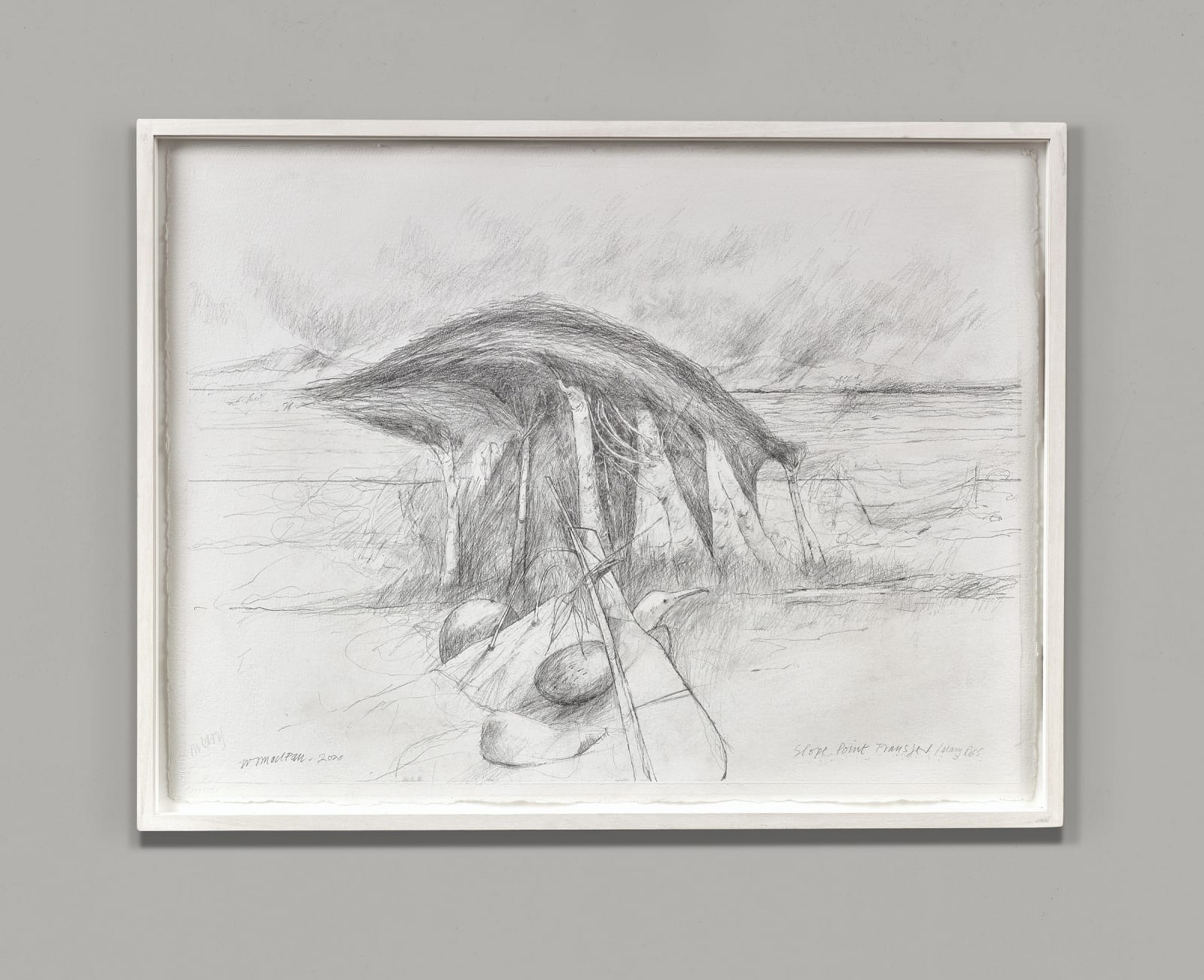 Will Maclean RSA, Slope Point Transfer / Mary Ross, 2020