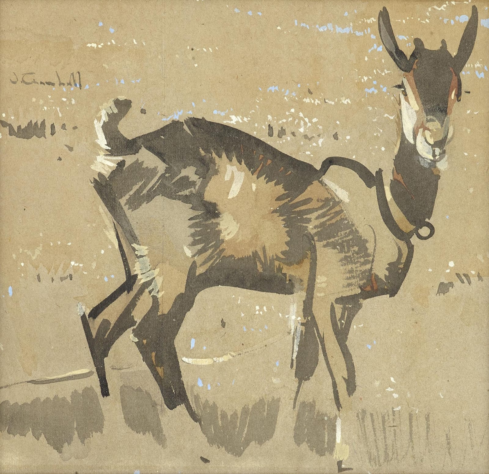 Joseph Crawhall RSW, Study of a Goat
