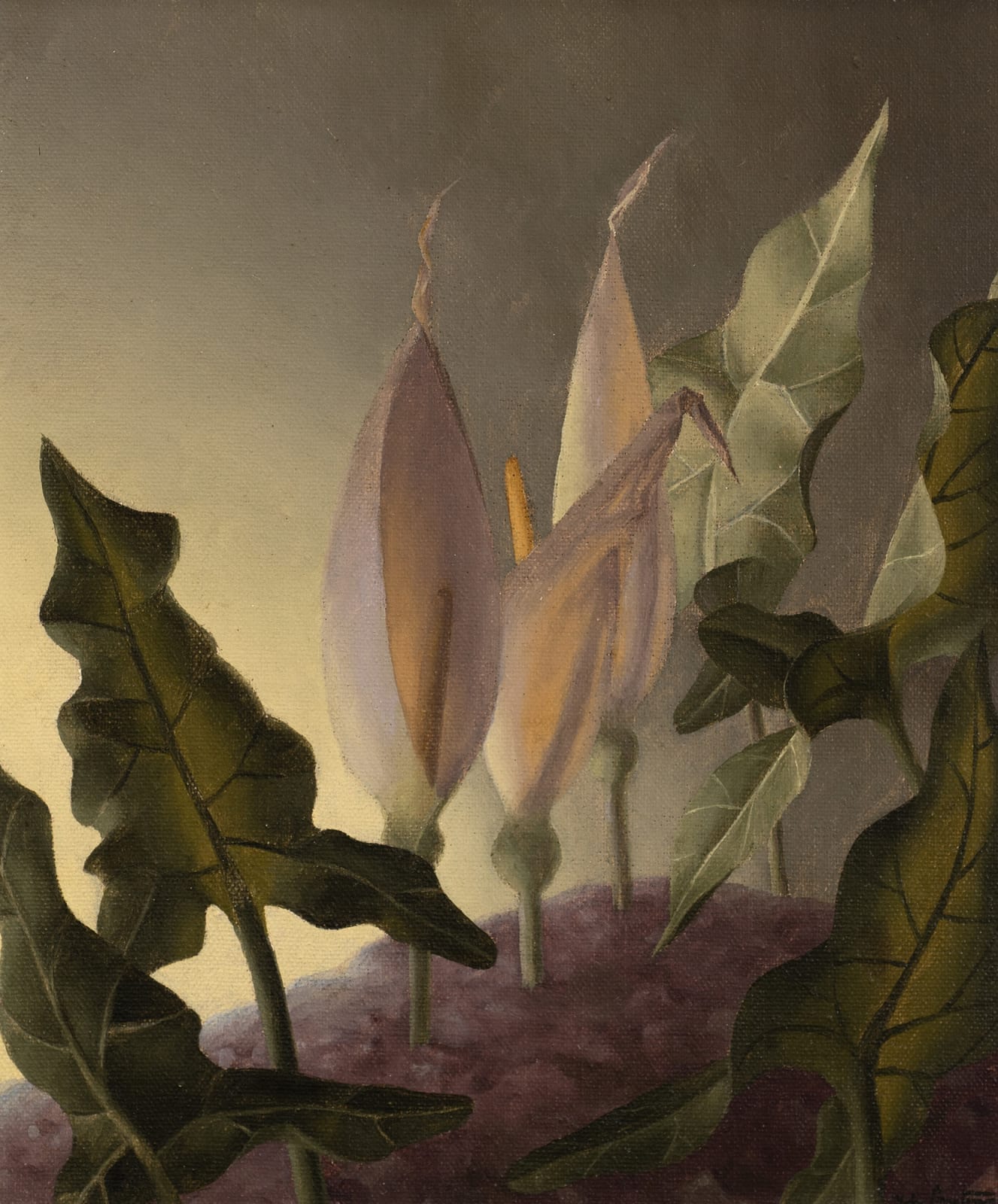 John Armstrong, White Arrums , 1951