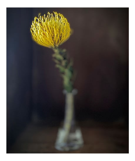 David Eustace, Volume 2 Image No18, 2020-2022