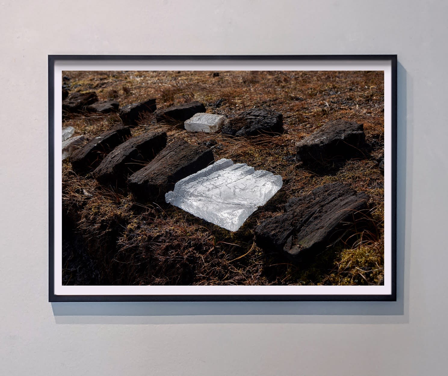 Shaun Fraser, Flow Country II, 2018