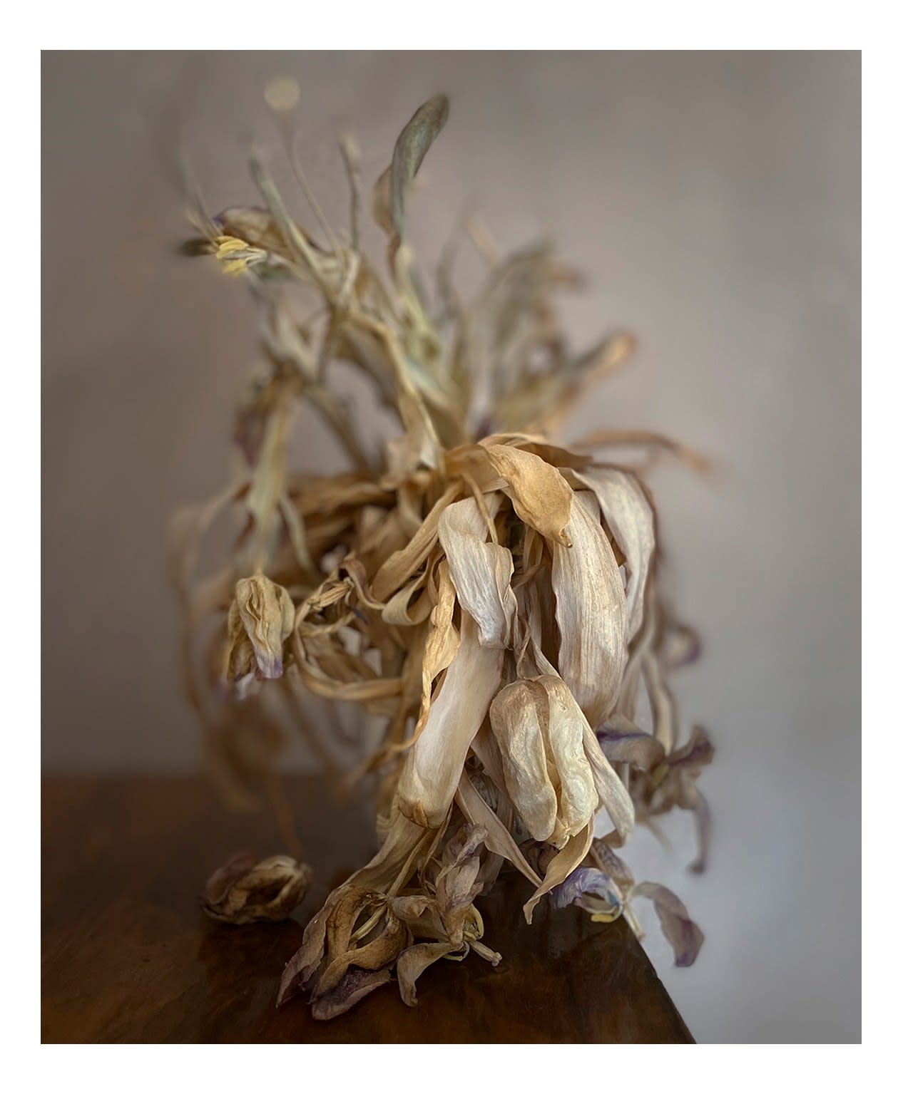 David Eustace, VOL1 Image1
