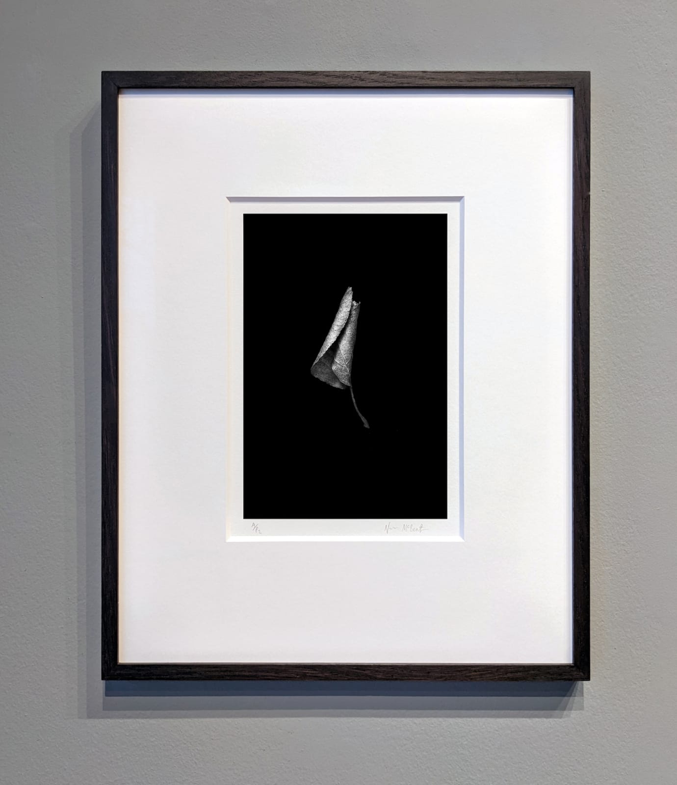 Norman McBeath, Perdendosi XII, 2021