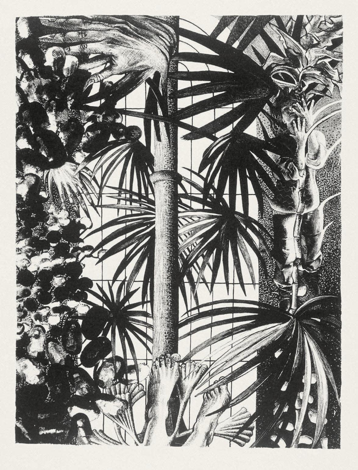Anne Desmet RA, Edinburgh Botanical Gardens, 1986