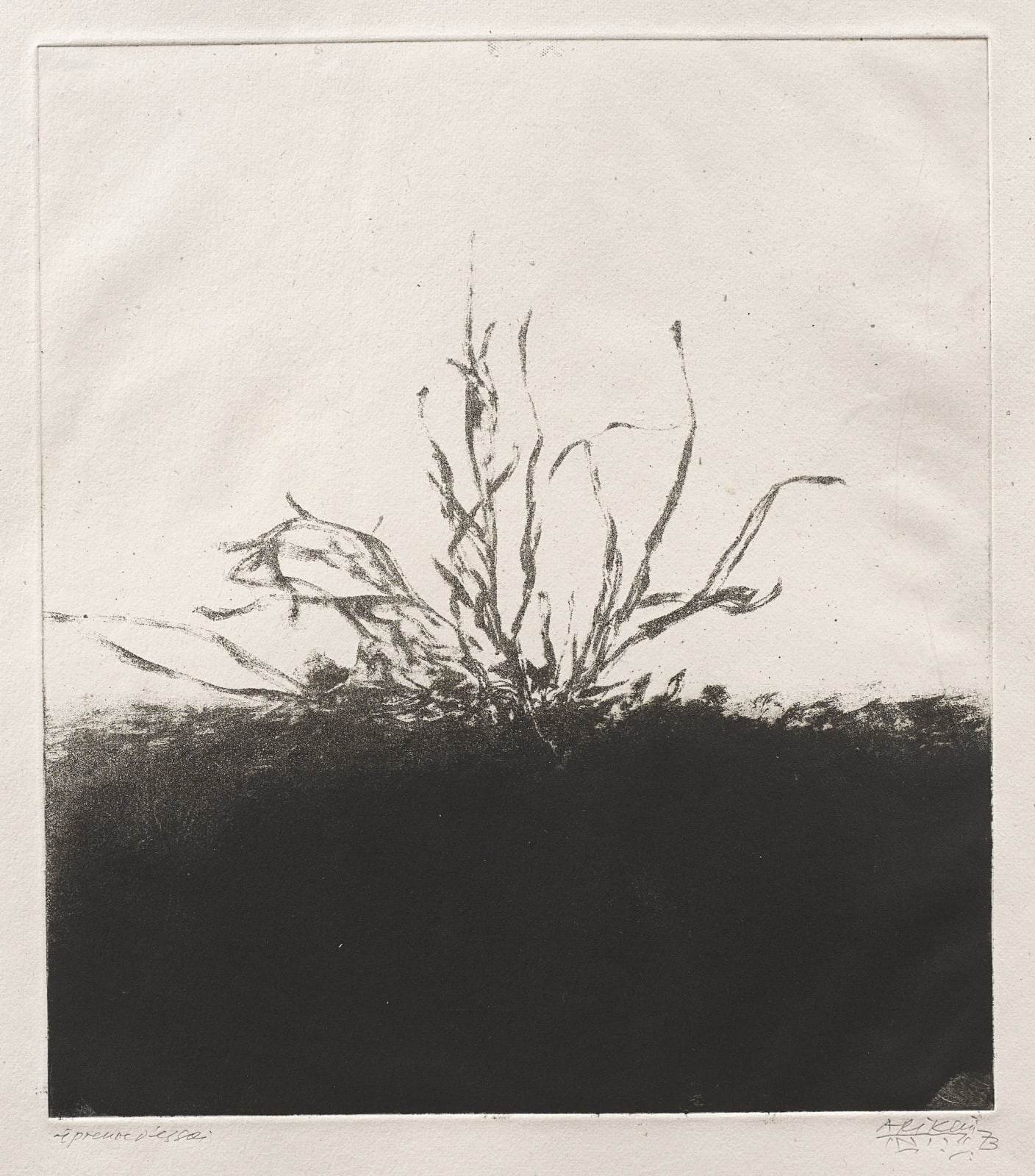 Avigdor Arikha, Grass, from 'Au loin un oiseau' by Samuel Beckett, 1973