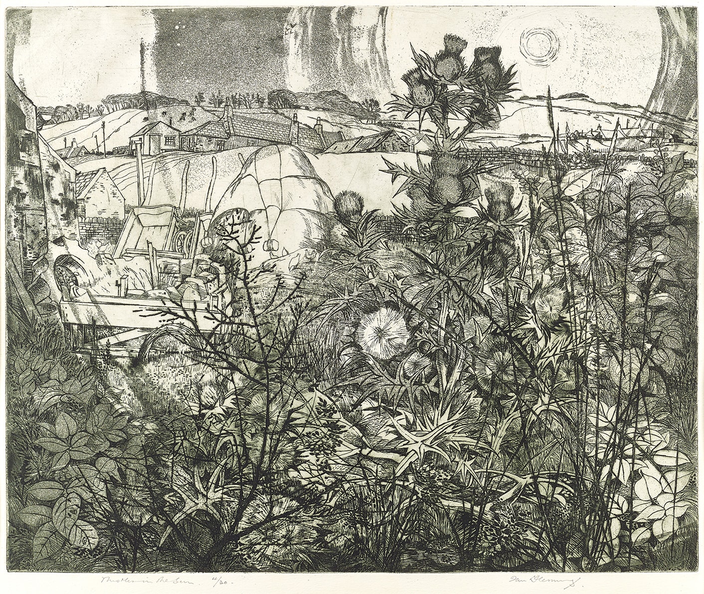 Ian Fleming RSA RSW, Thistles in the Sun, 1989