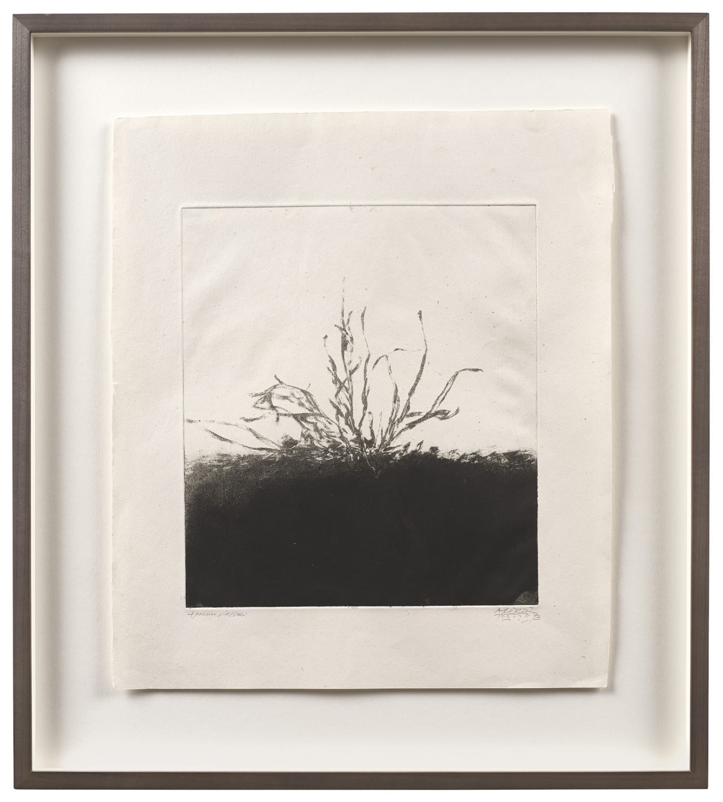 Avigdor Arikha, Grass, from 'Au loin un oiseau' by Samuel Beckett, 1973