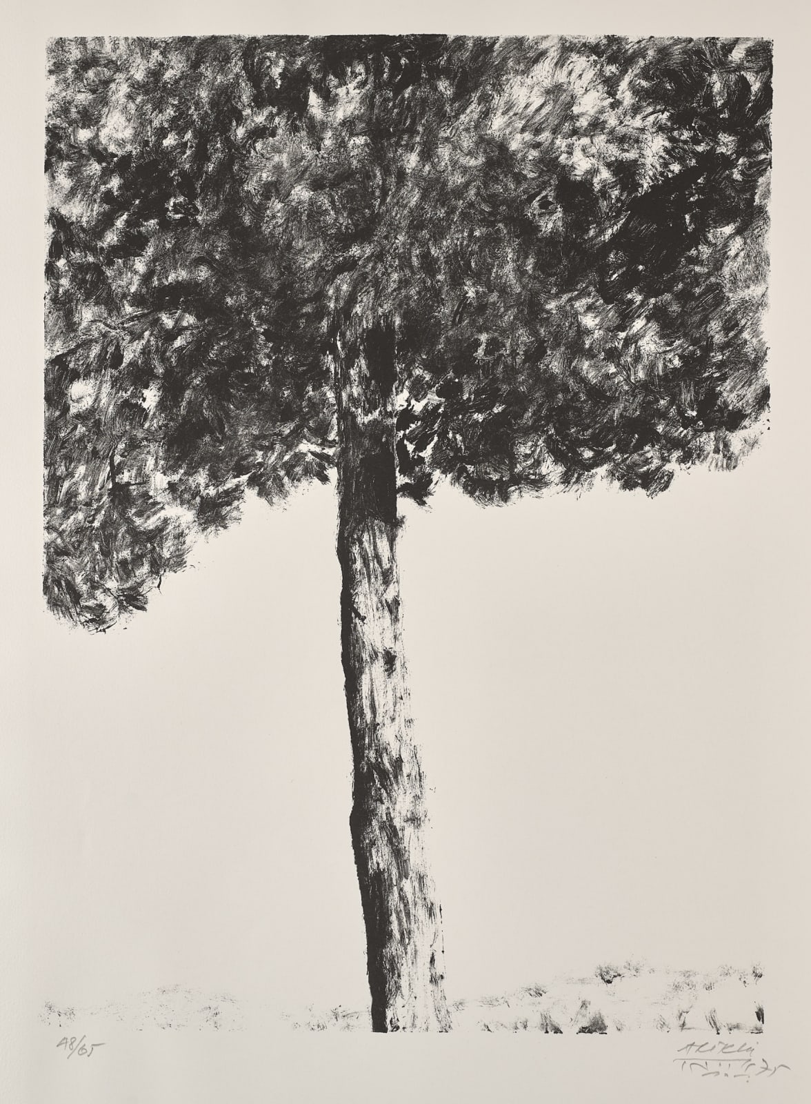 Avigdor Arikha, Pine tree, 1975