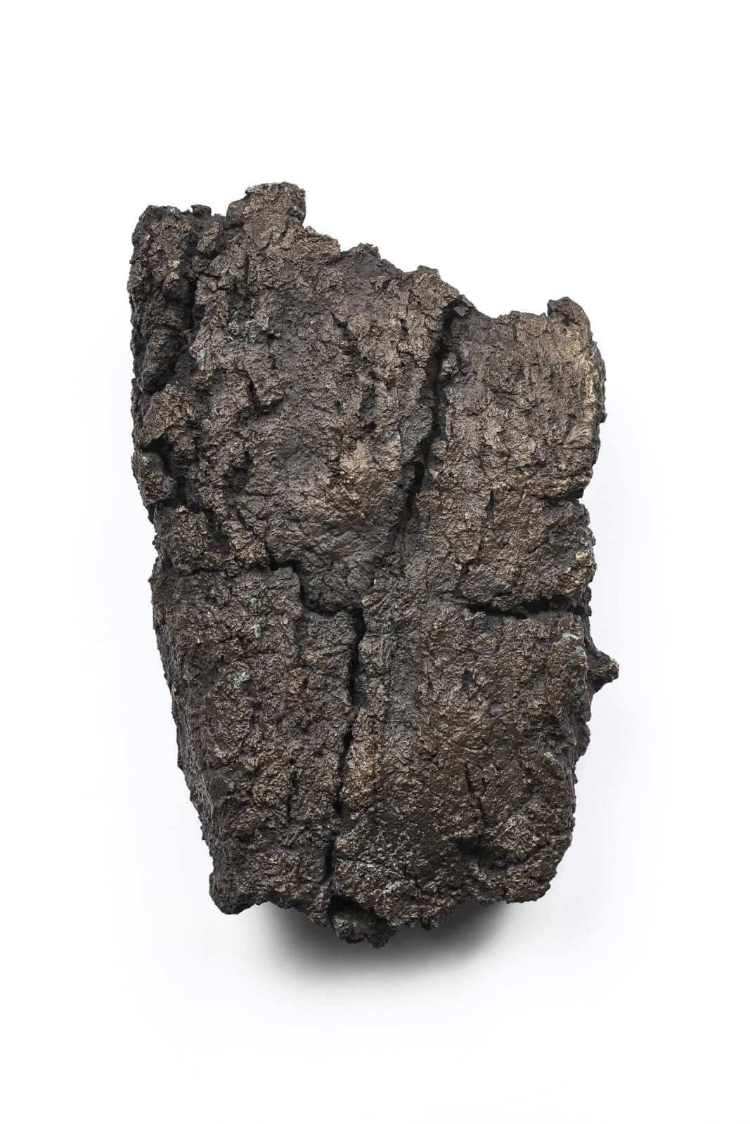 Shaun Fraser, Soil Immemorial, 2017