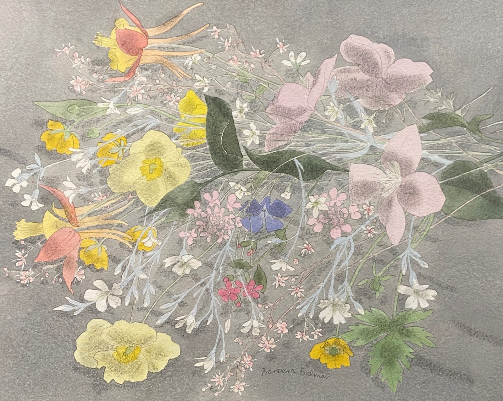 Barbara Balmer RSA RSW, Summer Flowers