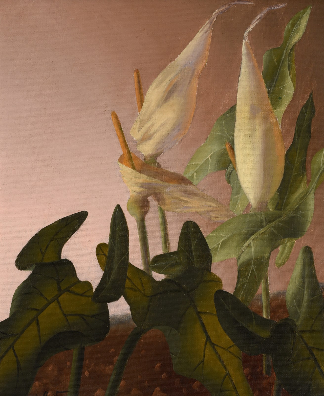John Armstrong, White Arrums , 1951