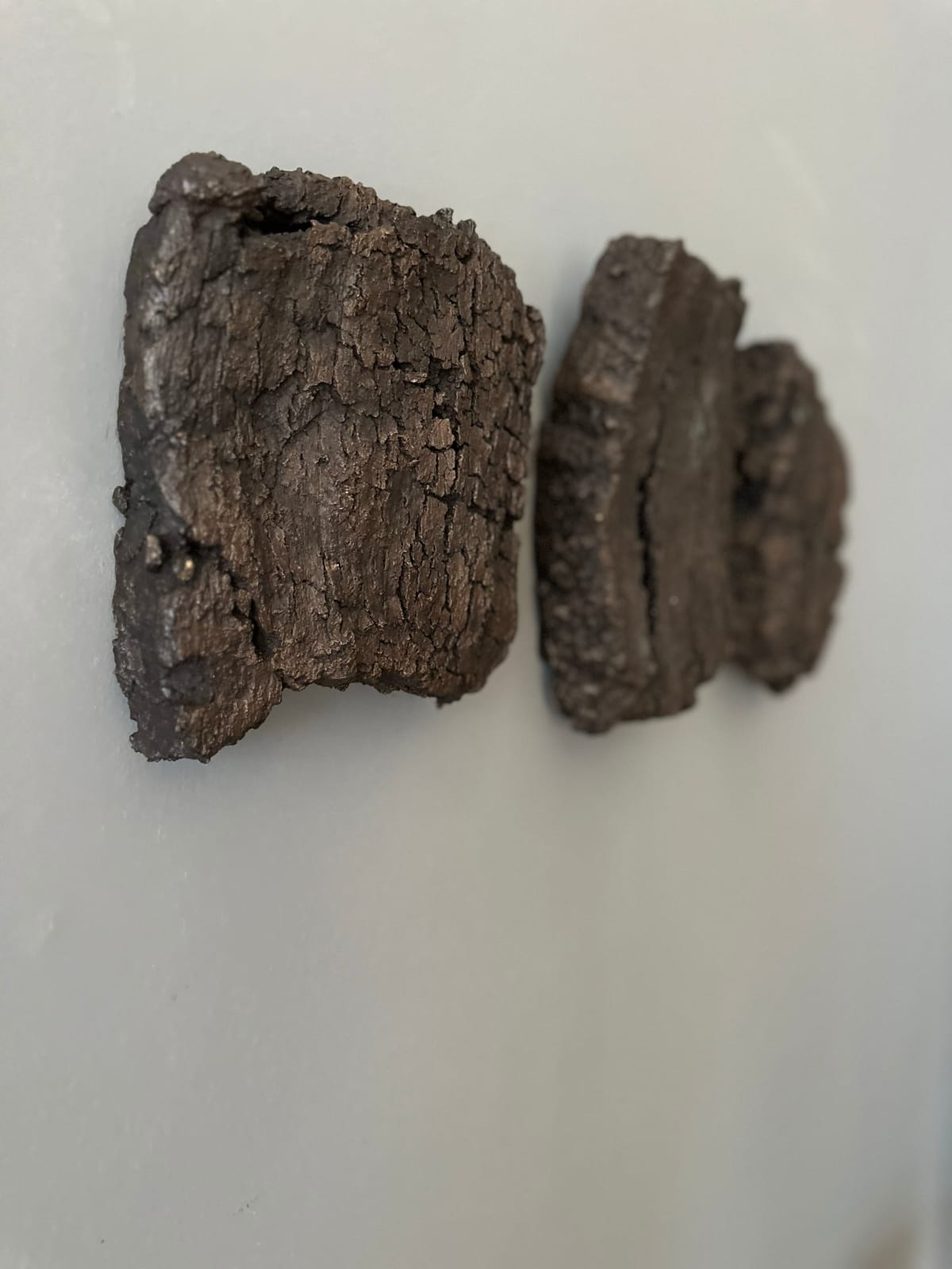 Shaun Fraser, Soil Immemorial, 2017