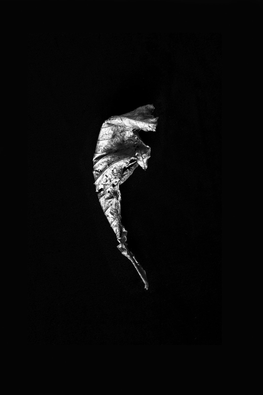 Norman McBeath RSA, Perdendosi III, 2021