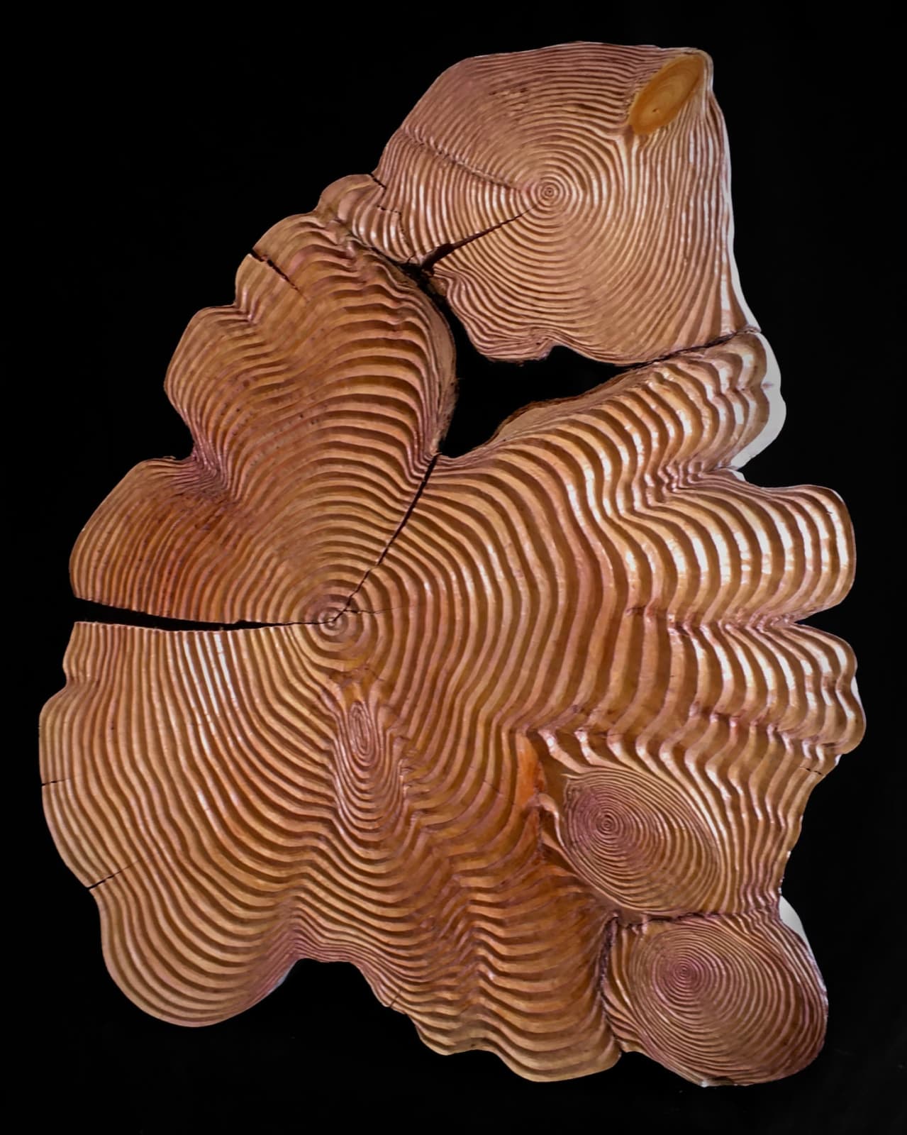 Tim Pomeroy, A Dialogue of Rings, 2021