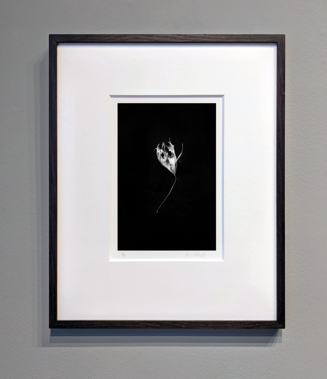 Norman McBeath, Perdendosi VIII, 2021